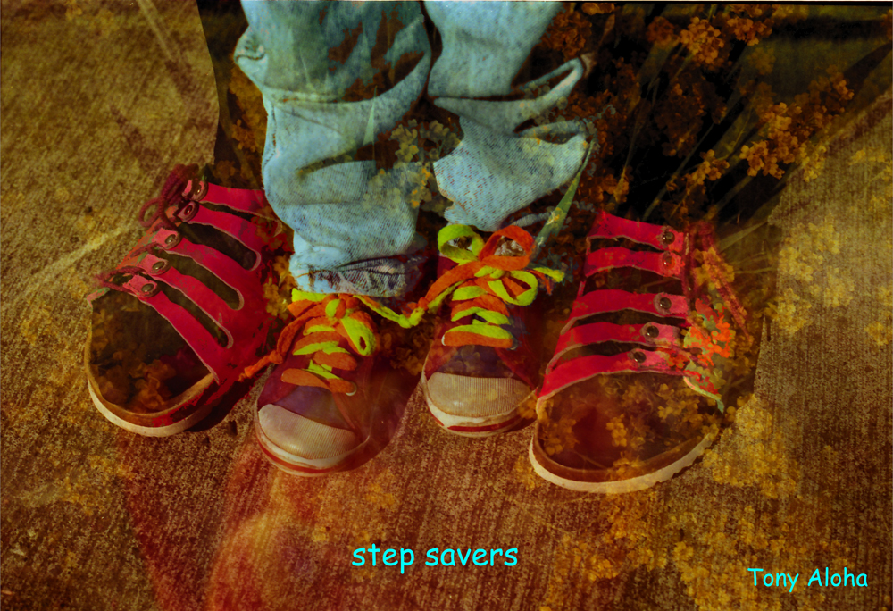 Step Saver
