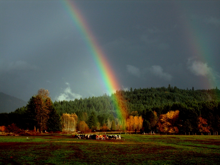 Cow Pasture East of Lacomb